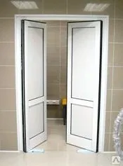 фото Двери маятниковые