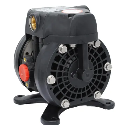 Фото №0 DF30 Диафрагменный насос PP/PTFE