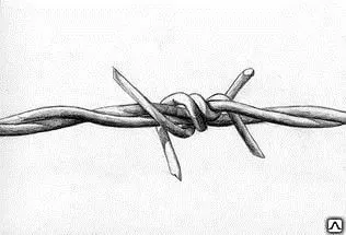 фото Проволока колючая ( светлая )