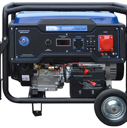 Фото №0 Бензогенератор TSS SGG 7000E3NA