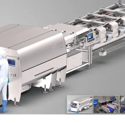 Фото №0 Линия MARELEC для порционной нарезки стейков/кусков говядины/свинины и сбора партии с фикс. весом в Москве