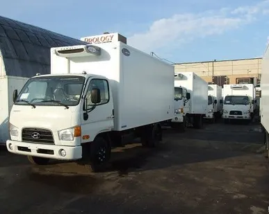 фото Hyundai HD78 сендвич фургон