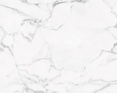 фото Керамический гранит KERRANOVA Marble Trend 1200x600 Carrara K-1000/MR
