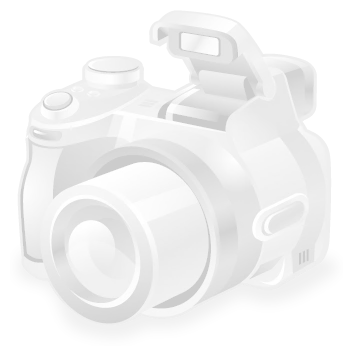 Фото №0 Bridgestone Ecopia EP850 265/70 R15 112H летняя