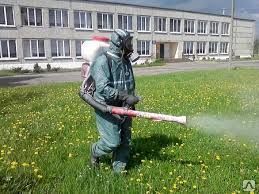 фото Дезинсекция общественных мест