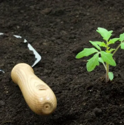 Фото №0 Плодородный грунт