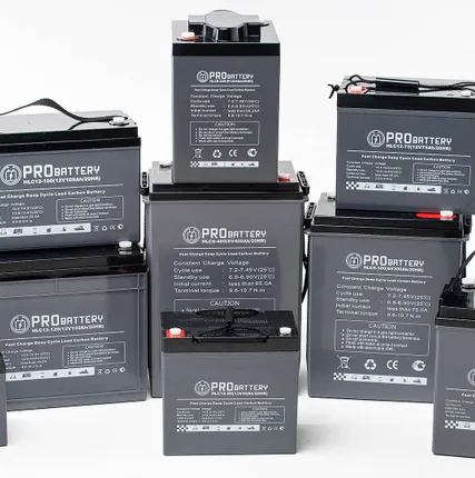 Фото №1 Аккумулятор тяговый PROBATTERY HLС12-100