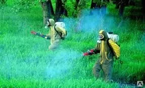 фото Дезинсекция парков от клещей