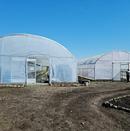 Фото №0 Теплицы на заказ