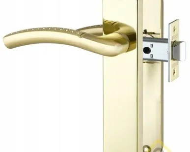 фото Ручка защёлка межкомнатная врезная SET F2013 GP/SG Золото