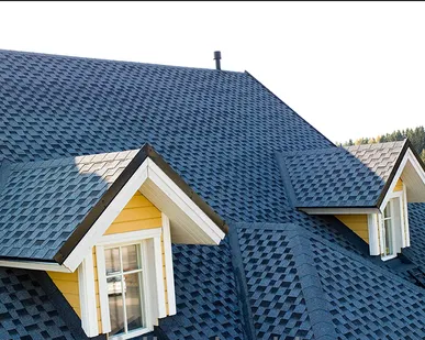 фото Коньково-карнизная черепица (чернослив)