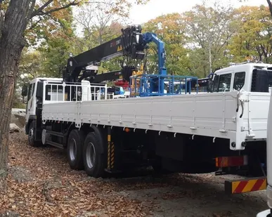 фото Бортовой грузовой Daewoo Novus DV11 с манипулятором HIAB 270 с ПДУ