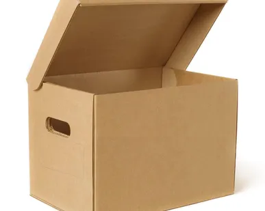 фото Короб архивный №9 А4 330х230х230 мм, Т-24 бурый