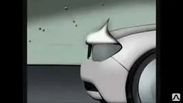 фото Мухобойка авто