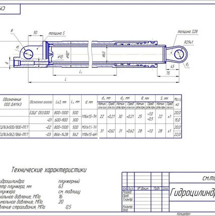 Фото №0 Гидроцилиндр РСМ-10.09.02.100Б