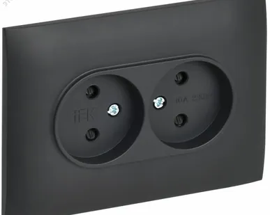 фото SKANDY Розетка 2-местная без заземления с защитными шторками 10А в сборе SK-R09T титан IEK