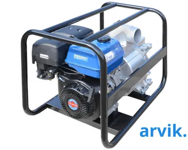 фото Мотопомпа TSS PGST100