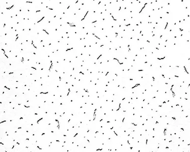 фото Китайский потолок с минеральной плитой Эверест Экстра