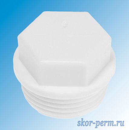 Фото №0 Заглушка с наружной резьбой 1&quot; PPRC