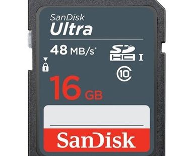 фото Карта памяти SanDisk Ultra SDHC