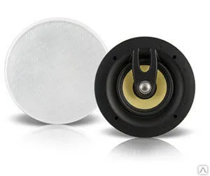 фото Двухполосная акустическая система CVGaudio TXR808