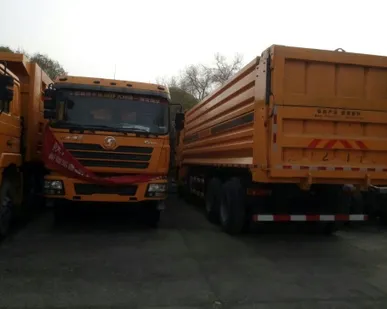 фото Угольный самосвал Shaanxi-Shacman 2014г. SX3315DT380