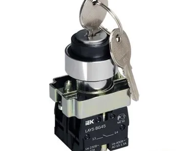 фото Переключатель LAY5-BG45 IEK