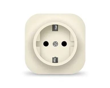 фото Розетка 1-м ОП 16А IP20 с заземл. сл. кость IONICH 1433