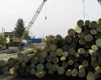 фото Столб телеграфный деревянный