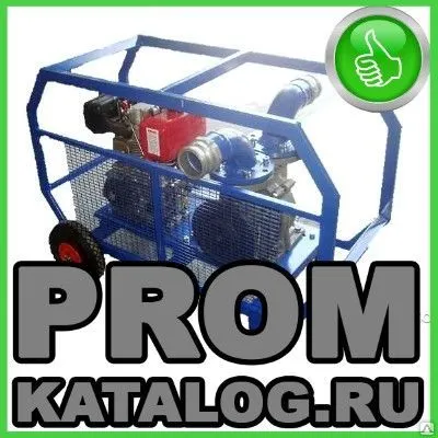 Фото №0 Мотопомпы Pentair