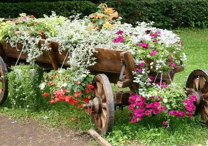 Фото №0 Декоративные элементы