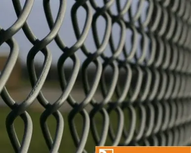 фото Сетка Рабица оцинкованная 60х60х1,8 мм в рулоне 1,5х10 м