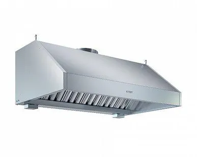 фото Зонт вентиляционный ЗВН-2/1000/2200