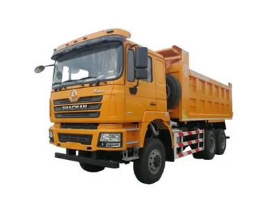фото Самосвал SHACMAN SX3258DT385 6X6 F3000 в Москве