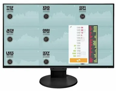 фото Монитор Eizo FlexScan EV2451