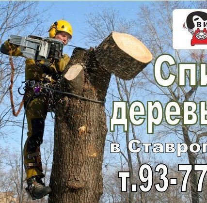 Фото №0 Спил и валка деревьев профессионалами
