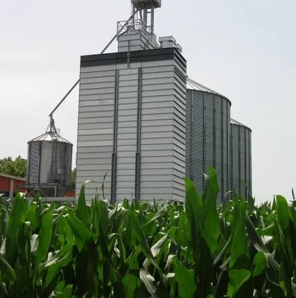 Фото №0 Ремонт, регулировка, инженерная помощь и настройка шахтных зерносушилок