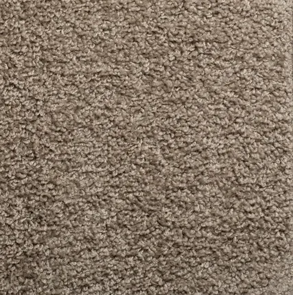 Фото №0 Ковролин Sintelon Harmony 83256 3м, бежевый