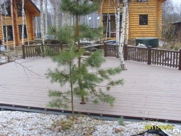 фото Строительство террас