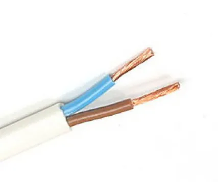 Фото №0 Шнур ШВВП 2x0,5