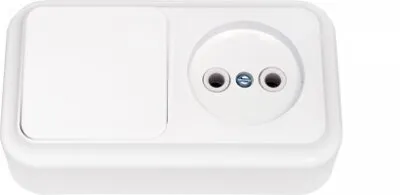 Фото №0 Блок О/У Выключатель 1-кл + розетка Пралеска Bylectrica В-РЦ-521