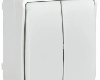 фото FORS Выключатель 2-клавишный для открытой установки 10А IP54 ВС20-2-0-ФБ белый ФОРС