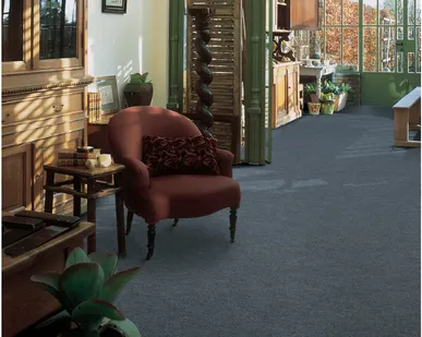 фото Ковролин IDEAL / ИДЕАЛ кол-я  VAREGEM / Варегем ШИРИНА, м: 2; 3; 4