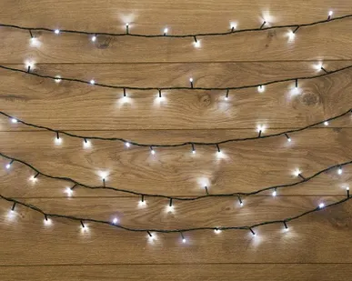 фото Гирлянда "ТВИНКЛ ЛАЙТ LED" (с контроллером 8 режимов) 4м 25LED 2Вт 220В IP20 бел. провод темн.-зел. ПВХ NEON-NIGHT 303-015