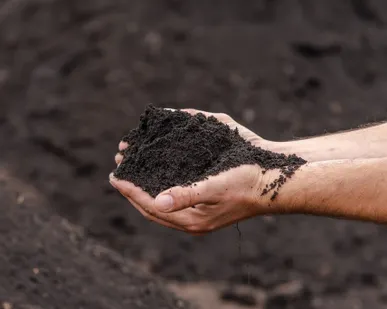 фото Грунт растительный с доставкой в Сосново