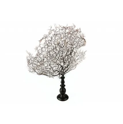 Фото №0 Фигура водоросли Shishi CF2130132-K31