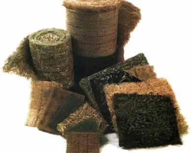 фото Биомат KGW 900