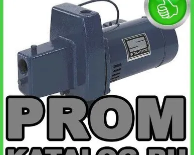 фото Насосы бытовые Pentair