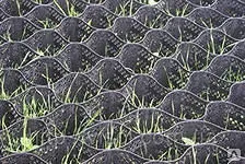 фото Георешетка 210х210х150