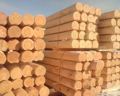 фото Бревно оцилиндрованное